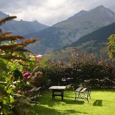 Paisible Chalet Montagne Avec Option Jacuzzi Сеез Экстерьер фото
